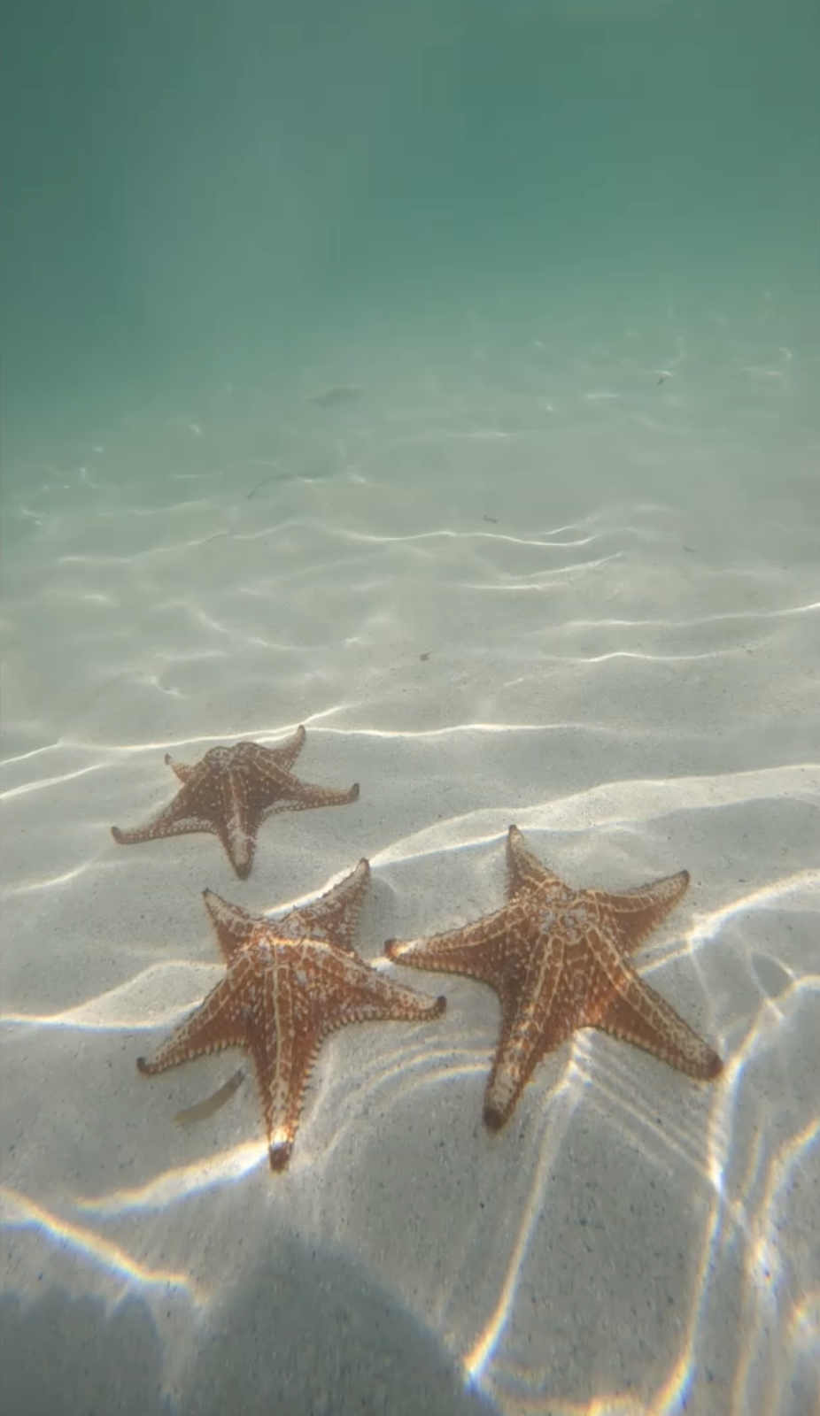 Top Beaches Grand Cayman